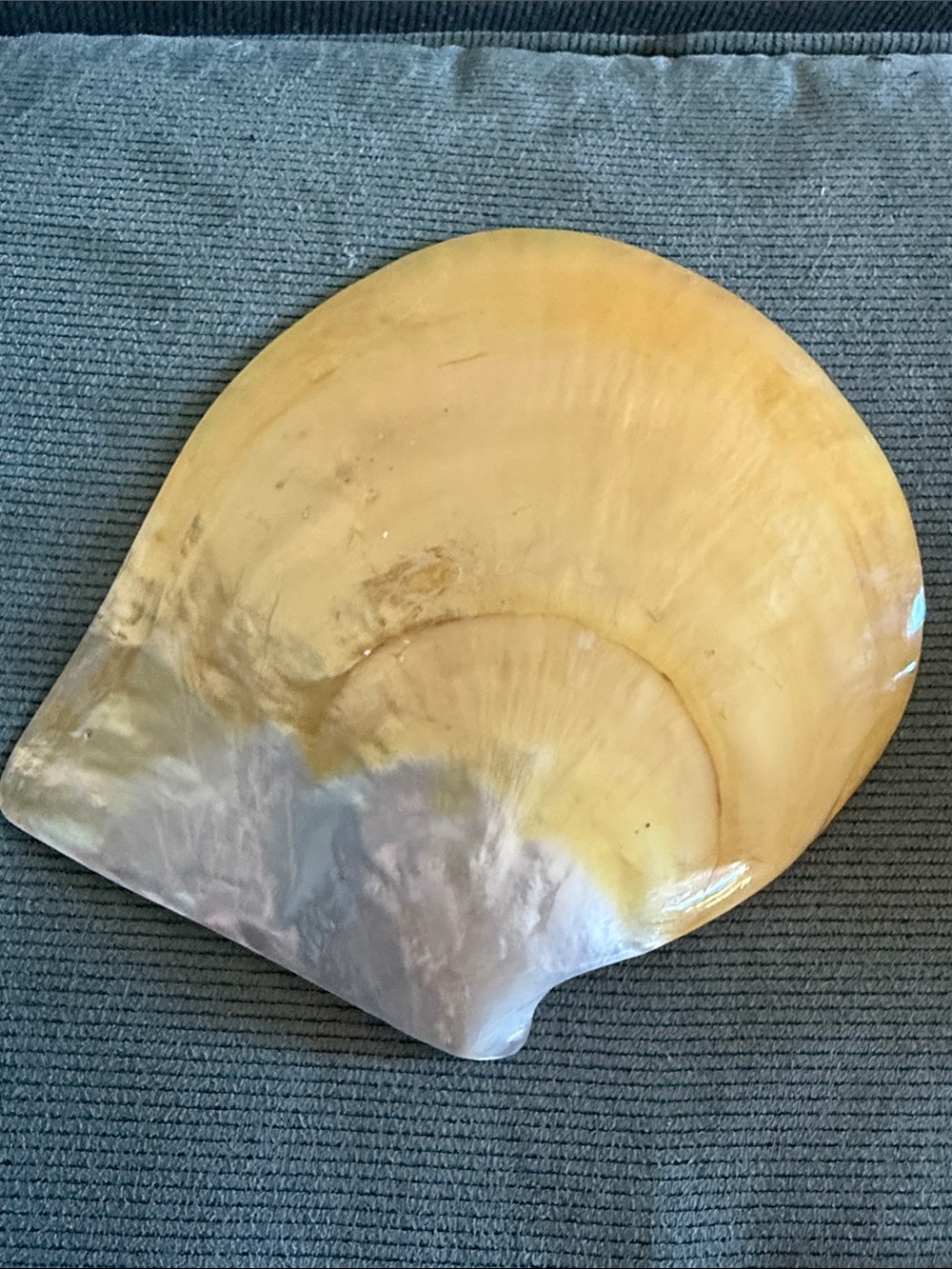 Large Nautical Seashell Decorative Accent - Yellow & Cream - Picture 2 of 4